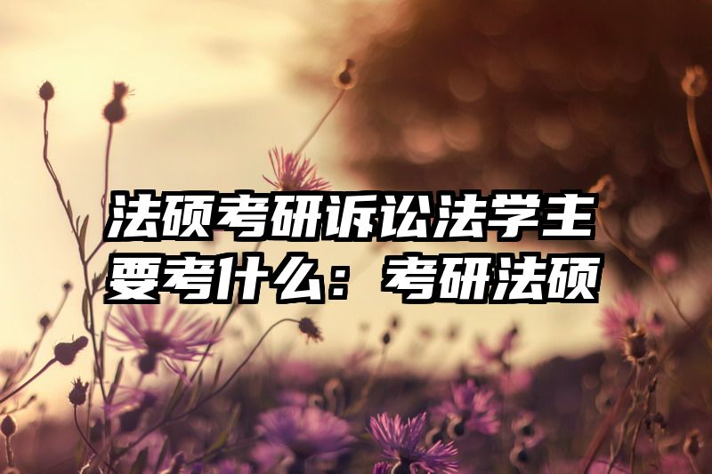 法硕考研诉讼法学主要考什么：考研法硕