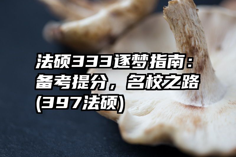 法硕333逐梦指南：备考提分，名校之路(397法硕)