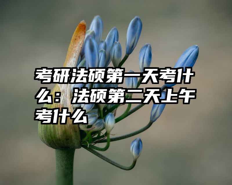 考研法硕第一天考什么：法硕第二天上午考什么