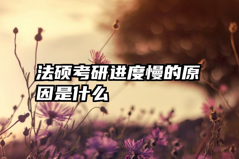 法硕考研进度慢的原因是什么