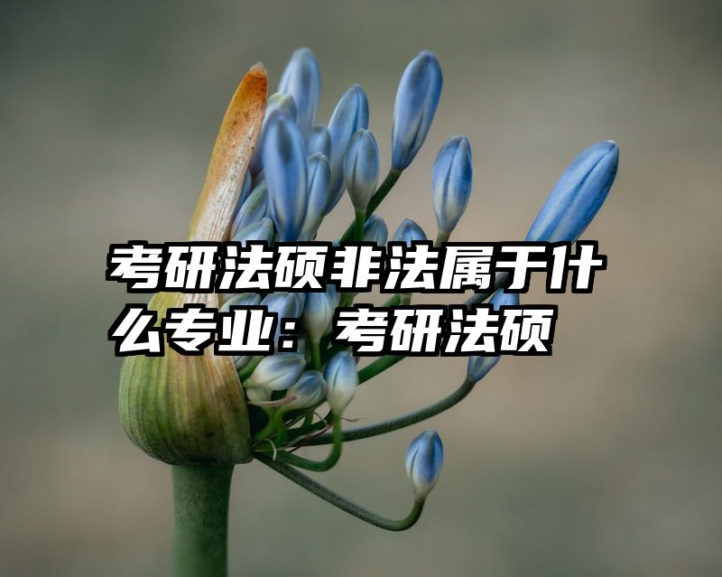 考研法硕非法属于什么专业：考研法硕