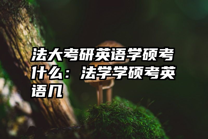 法大考研英语学硕考什么：法学学硕考英语几