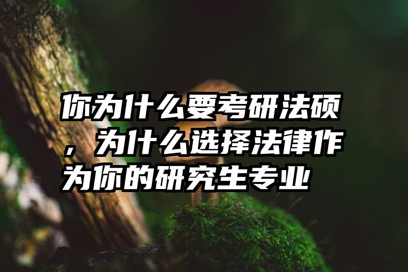 你为什么要考研法硕，为什么选择法律作为你的研究生专业