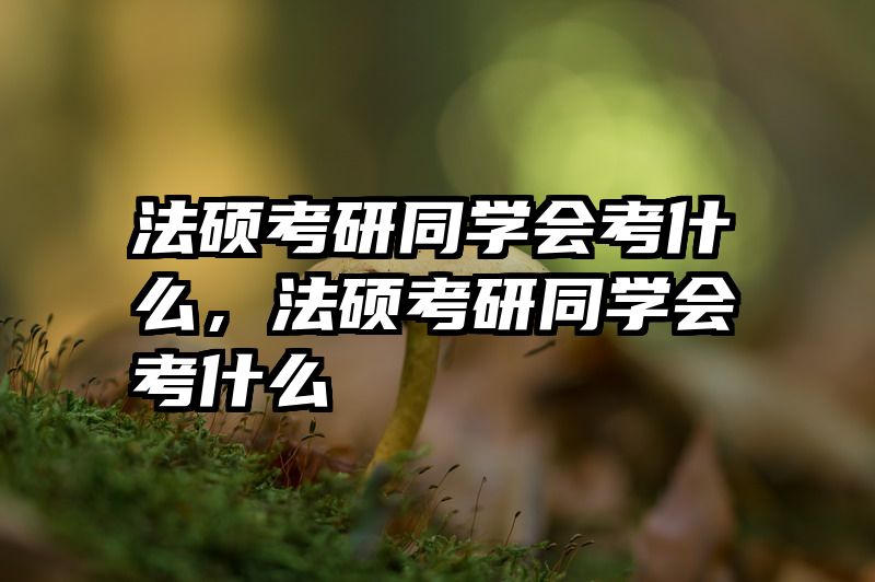 法硕考研同学会考什么，法硕考研同学会考什么