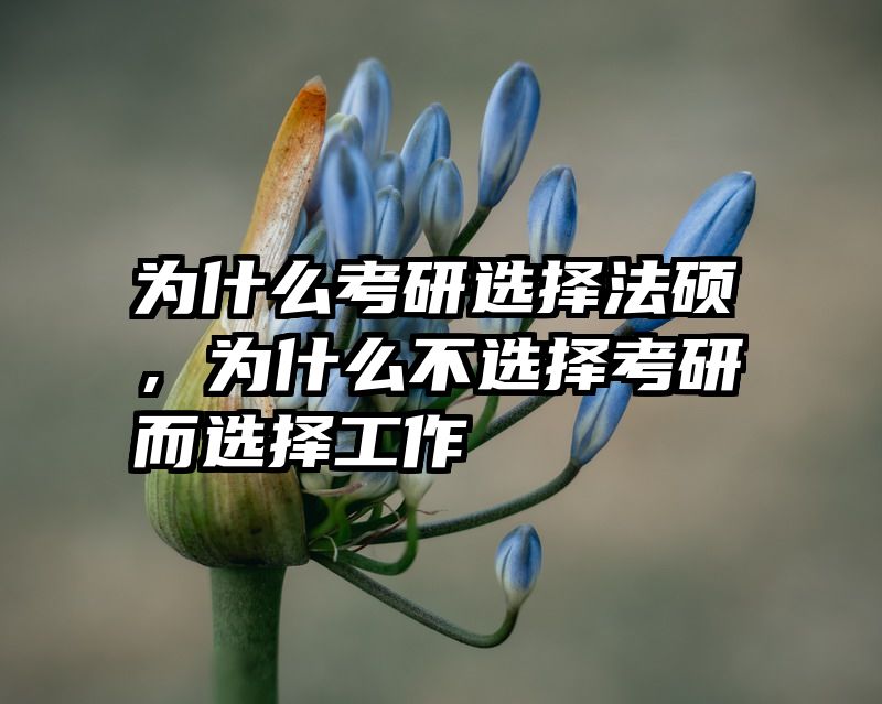 为什么考研选择法硕，为什么不选择考研而选择工作