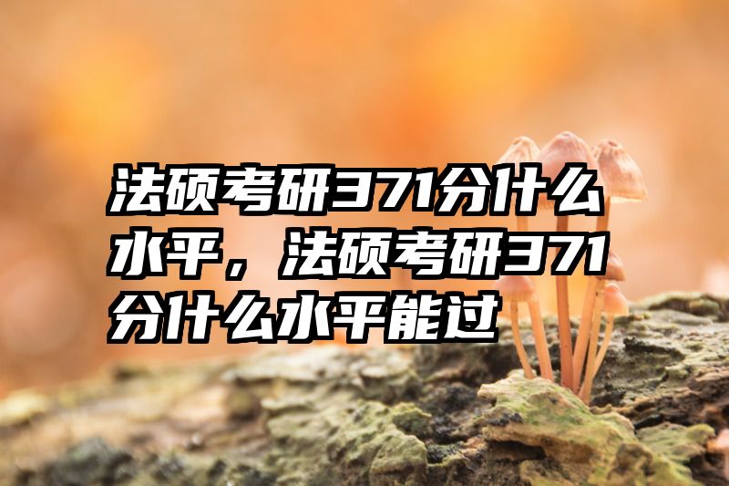 法硕考研371分什么水平，法硕考研371分什么水平能过
