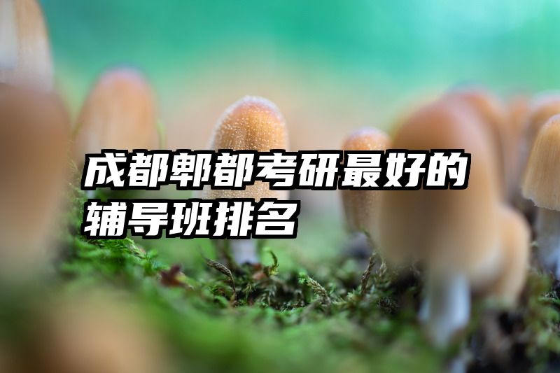 成都郫都考研最好的辅导班排名